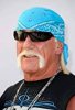 hulkster.jpg