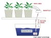 top-drip-hydroponic-system-diagram.jpg