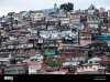 crowded-housing-on-the-hillside-in-shimla-himachal-pradesh-india-HXT5YH.jpg