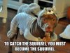 57f35f5b549e1bf8bcb6680c1c1dec18--pit-bulls-squirrels.jpg