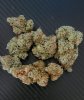 6179553_grow-journal-by-wallywonkscustomgranddaddy-purple-x-dosidos.jpg