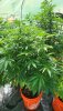 20231010_105729.jpg