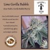 Tonygreen - Lime Gorilla Bubble.jpg