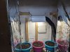 week3_seedlings_planted1.jpg