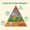 foodpyramid-76674854.png