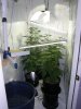 Grow Room.jpg