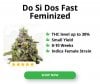 Do-Si-Dos-Fast-Feminized_300x250px.jpg