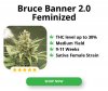 Bruce-Banner-2.0-Feminized_300x250px.jpg