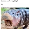 IMG_8507.jpeg