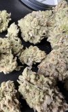 IMG_0873.jpeg