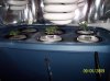 2009 Grow 008.jpg