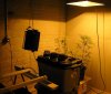 My legal grow lab.jpg