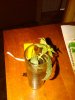 shot glass grow 09 pic 7.jpg