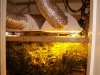 Grow Closet 165.jpg