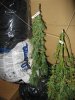 Ag_Harvest_2_Sept282.jpg