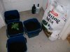 day 32 repotting (2).jpg