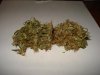 THC Bomb #3 - 1.jpg