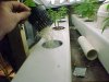 83350d1087402217-super-cheap-ultrasonic-aeroponic-mvc-011f.jpg