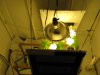 grow room 017.jpg