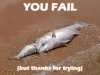 you_fail-12839.jpg