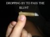 PassTheBlunt.jpg