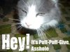 Funny cat pic.jpg