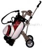 Golf-bag-and-pen-set-23311265591.bmp.jpeg