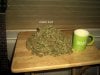 pile o buds 001.JPG