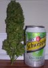 big bud 002.jpg