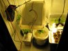 grow room 023.jpg