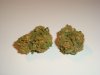 12-2-08-green-crack-herbal-solutions-003.JPG