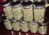 bigkuz68-albums-led-hps-grow-picture99967-dsc00057.jpg