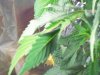100_0413.jpg