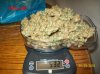 test weight 005 600x449.jpg