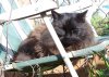 100_0160-Fuzzy.jpg