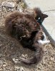 100_0192-Fuzzy.jpg