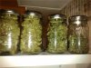 curing jars.jpg