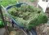 100_0217-Mulch.jpg