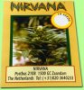 products_seeds_nirvana_generic6.jpg