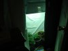 grow room 2008 001.jpg