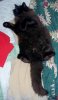 100_0321-Fuzzy.jpg