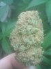 PowerBerry Nug.jpg