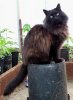 100_0288-Fuzzy.jpg