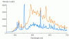 kevlin vs NM.gif