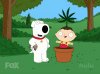 family_guy_420.jpg