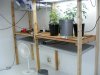 2010_0729vegroom0007.jpg