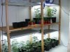 2010_0729vegroom0023.jpg