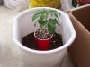 repot 02.jpg