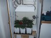 first real grow 001.jpg