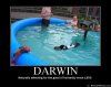 633495980045368026-darwin.jpg